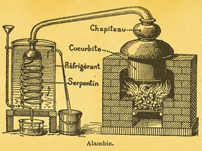 Distillation of Essential Oils