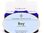 Bay Essential Oil is used in the treatment of rheumatism, neuralgia, muscular pain, circulation problems, colds, flu, dental infection and hair growth.