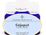 By promoting sweating, cajuput essential oil cools down the body and helps with infections such as colds, laryngitis and bronchitis.