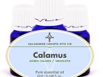 Calamus essential oil is an excellent stimulant for the nervous system, helping with headaches and various nervous complaints and neuralgia.