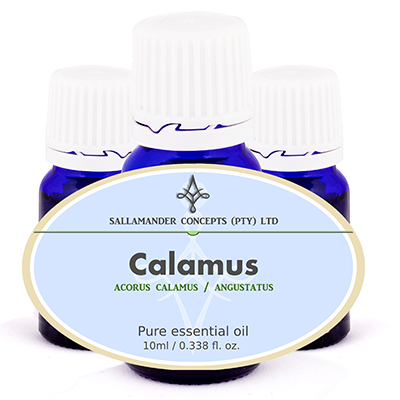 Calamus essential oil