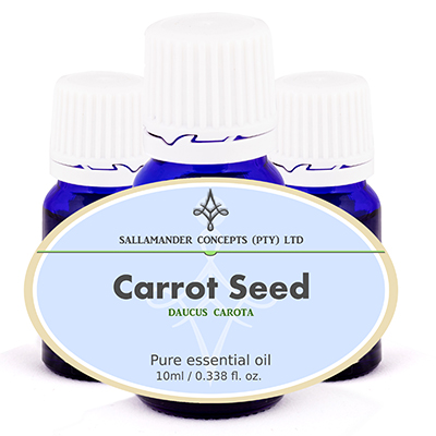Carrot seed essential oil