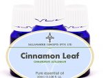 Cinnamon Leaf Essential Oil can be used for infection of the respiratory tract, rheumatism, arthritis, depression and general pains.