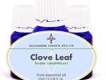 Clove leaf essential oil is used for acne, bruises, burns and cuts. It helps with a toothache, mouth sores & rheumatism and is said to promote dreaming.