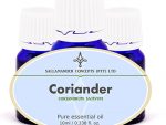 Coriander essential oil is useful to refresh and to uplift the mind. It can help for mental fatigue, migraine, tension and nervous weakness.