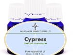 Cypress essential oil has a calming and soothing effect on the irritable, angry and stressed-out person. Also used to treat varicose veins and hemorrhoids.