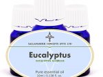 Eucalyptus Globulus Essential Oil has a cooling and deodorizing effect on the body, helping with fevers, migraine and malaria.