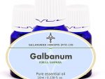 Galbanum oil is said to open the subconscious and is used for grounding and balancing, specifically when truths have to be uncovered.