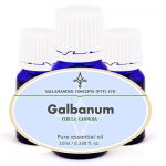 Galbanum essential oil