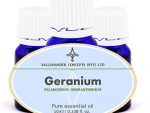 Geranium oil, used to help in the treatment of acne, bruises, burns, cuts, dermatitis, eczema, hemorrhoids, lice and as a mosquito repellent