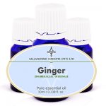 Ginger essential oil