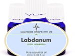 Labdanum essential oil has a wonderfully soothing, deep fragrance, useful in treating people after shock or trauma has been experienced.