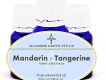 Revitalize your senses with our Mandarin Essential Oil. Find relief from digestive discomfort and promote a sense of calm. Get yours now!
