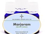 Experience the calming and respiratory benefits of Marjoram essential oil. Discover the power of nature with this sweet and soothing oil. Order now!