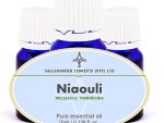 Experience the power of Niaouli essential oil known for its antiseptic and stimulating qualities. Clear infections and promote healing naturally. Buy now!