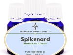 Treat yourself to the calming and grounding effects of Spikenard essential oil. Experience the natural tranquility it brings to your life. Order now!