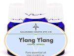 Ylang Ylang Essential Oil