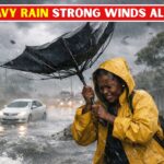South Africa Weather Alert Today: Severe showers and strong winds expected nationwide with safety advice